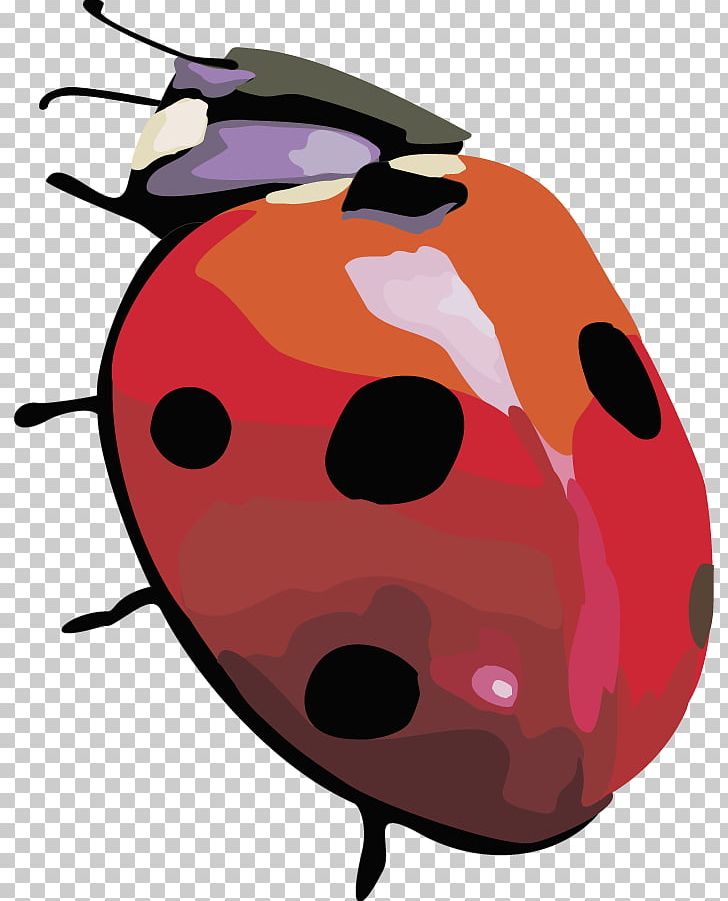 Beetle Coccinella Septempunctata PNG, Clipart, Animals, Beetle, Beetle Frame, Beetles, Coccinella Free PNG Download