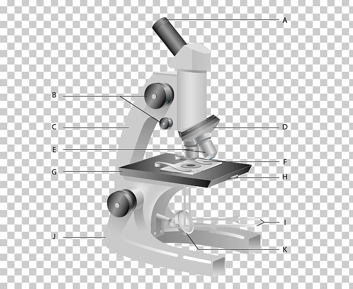Carl Zeiss Microscopy Optical Microscope Worksheet Diagram PNG, Clipart, Anatomy, Angle, Carl Zeiss Microscopy, Cell, Diagram Free PNG Download
