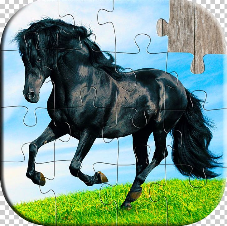 Horse Jigsaw Puzzles Game PNG, Clipart, Adults, Amp, Animals, Bridle, Game Free PNG Download
