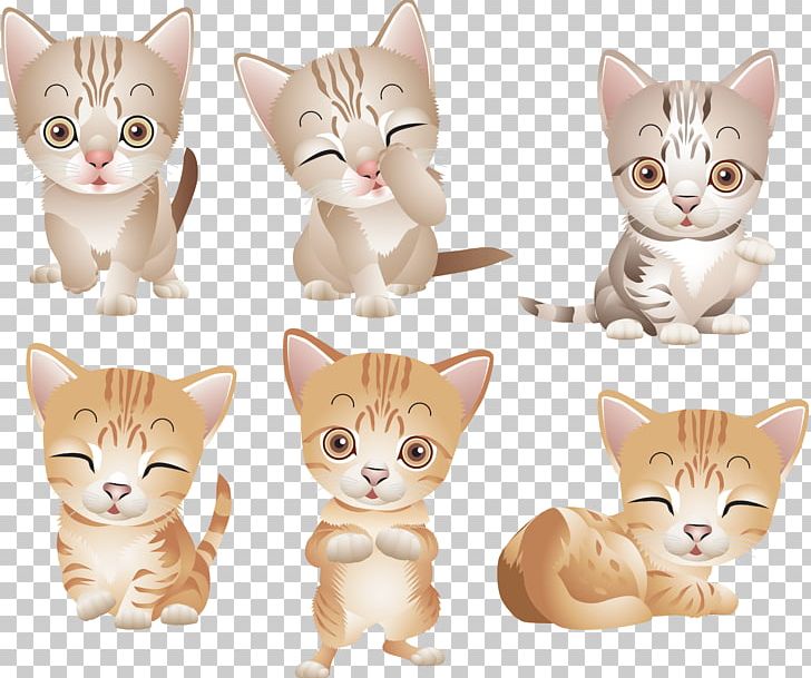 Kitten American Wirehair American Shorthair Manx Cat European Shorthair PNG, Clipart, American Shorthair, American Wirehair, Animal, Animals, C 901 Free PNG Download