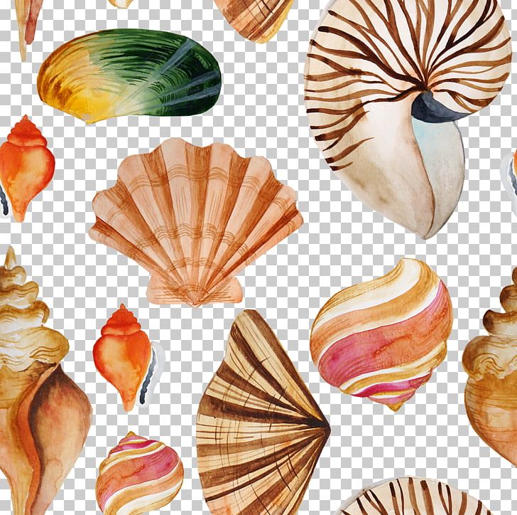 Seashell Textile Tayrona Store PNG, Clipart, Ceramic Tile, Conch, Creatures, Dishware, Drawing Free PNG Download