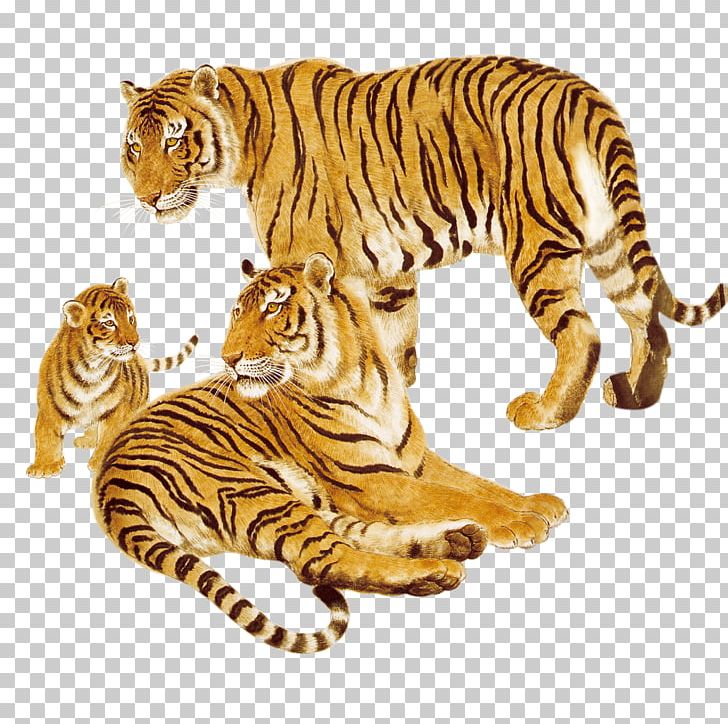 Tiger Animal Cat Wildlife PNG, Clipart, Animal, Anime Girl, Big Cat, Big Cats, Carnivoran Free PNG Download