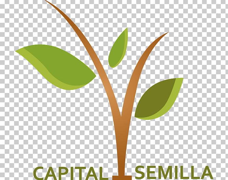 Seed Money Capital Funding Empresa Investor PNG, Clipart, Accounting, Brand, Business, Capital, Commodity Free PNG Download