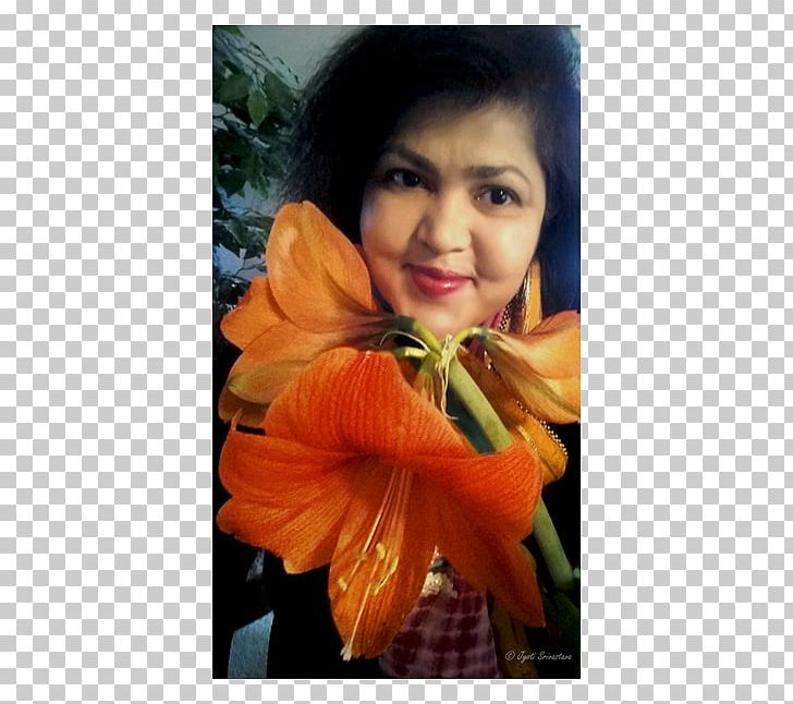 Flower Petal Plant PNG, Clipart, Flower, Flower Arranging, Iris, Nature, Orange Free PNG Download