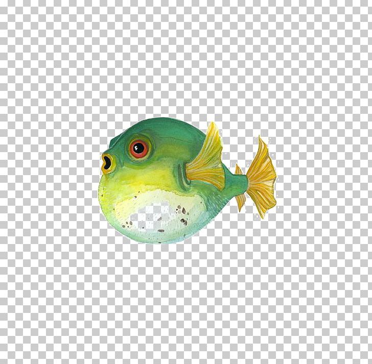 Fugu Painted Fish Painting Illustration PNG, Clipart, Animals, Aquarium Fish, Art, Cartoon, Cartoon Puffer Free PNG Download