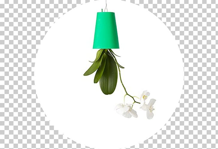 Flowerpot Plant Green Cachepot Ceramic PNG, Clipart, Cachepot, Ceramic, Chlorophytum Comosum, Cut Flowers, Floral Design Free PNG Download