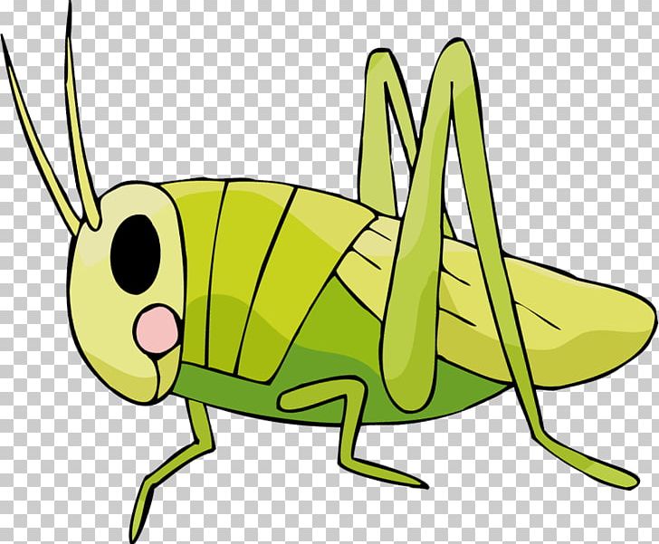 Insect Cartoon Fauna Yellow PNG, Clipart, Animals, Artwork, Cartoon, Fauna, Insect Free PNG Download