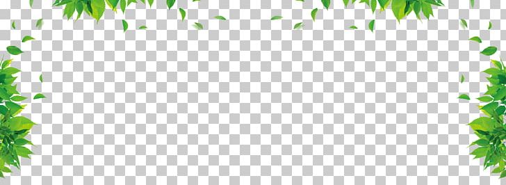 Leaf Graphic Design Green Floral Design Pattern PNG, Clipart, Border, Border Frame, Certificate Border, Design Pattern, Fall Leaves Free PNG Download