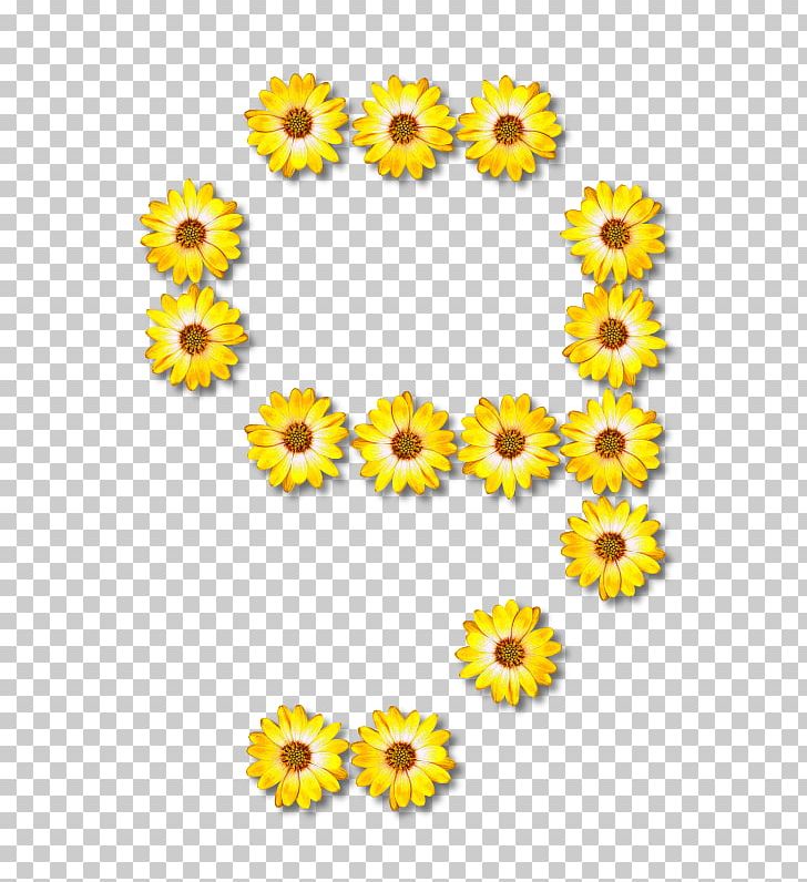 Alphabet Letter Flower PNG, Clipart, Alphabet, Chrysanthemum, Chrysanths, Cut Flowers, Daisy Family Free PNG Download