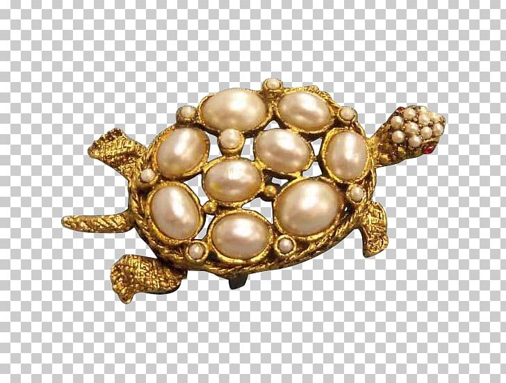 Brooch Tortoise Pond Turtles Body Jewellery Gemstone PNG, Clipart, Body Jewellery, Body Jewelry, Brooch, Emydidae, Fashion Accessory Free PNG Download