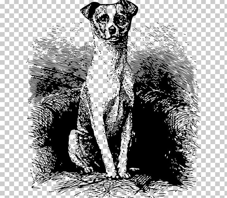 Dog Breed Drawing Sketch PNG, Clipart, Animals, Black And White, Carnivoran, Cat, Dog Free PNG Download