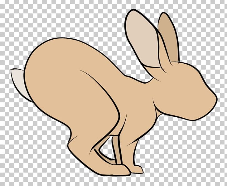 Hare Domestic Rabbit Macropodidae Mammal PNG, Clipart, Animal, Animal Figure, Animals, Artwork, Canidae Free PNG Download