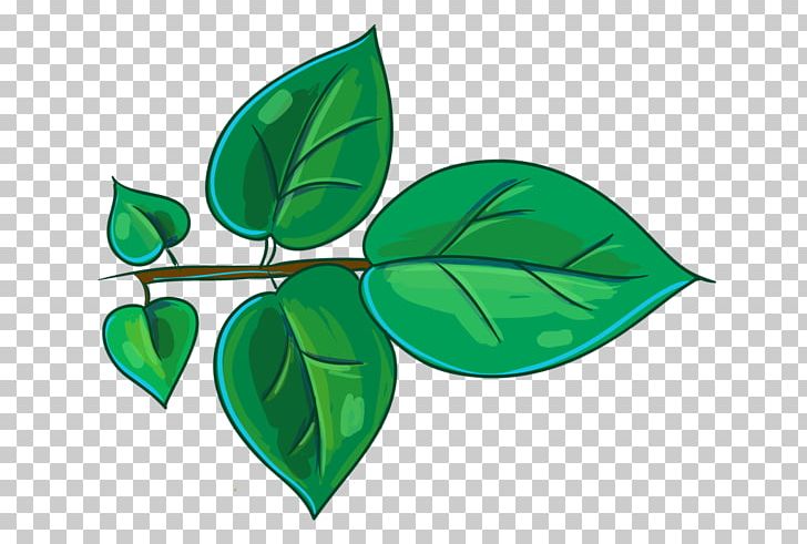 Leaf Plant Stem Branch Watercolor Painting PNG, Clipart, 2018, Branch, Copyright, Green, Hand Free PNG Download