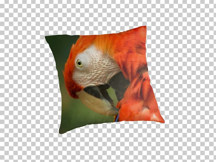 Macaw Beak Cushion PNG, Clipart, Beak, Bird, Cushion, Fauna, Macaw Free PNG Download