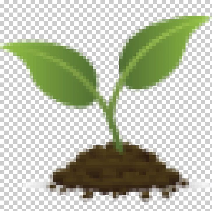 Seedling Garden Agriculture PNG, Clipart, Agriculture, Bonsai, Core Services, Energy, Garden Free PNG Download