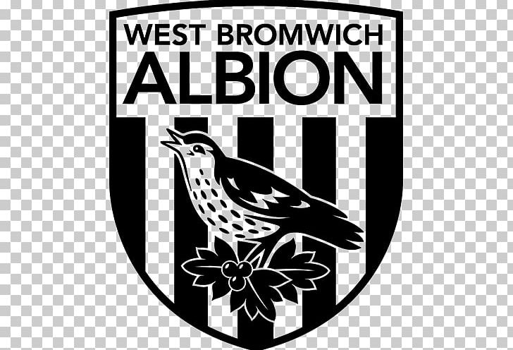 West Bromwich Albion F.C. Reserves And Academy Premier League Football PNG, Clipart, Art, Beak, Bird, Black, Black And White Free PNG Download