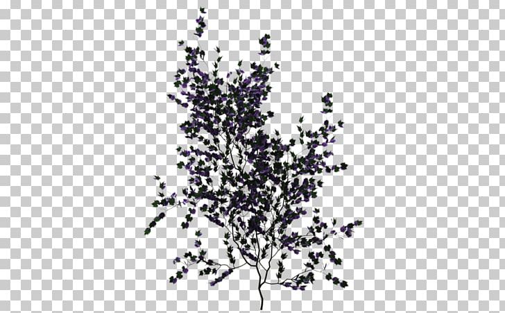 Vine Ivy Plant PNG, Clipart, Black And White, Branch, Climbing, Cupressus, Deadnettles Free PNG Download