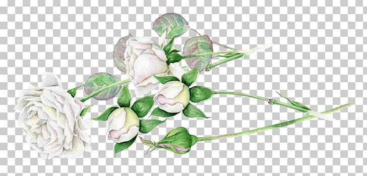 White Floral Design PNG, Clipart, Black White, Bones, Branch, Campa, Cut Flowers Free PNG Download