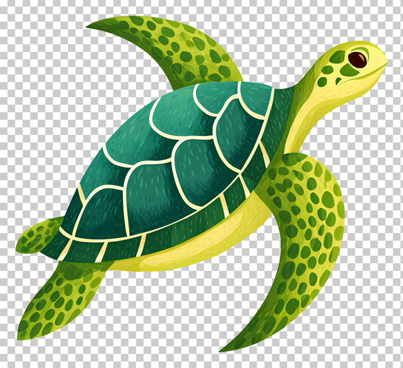 Sea Turtle Icon - Green Sea Turtle Illustration PNG