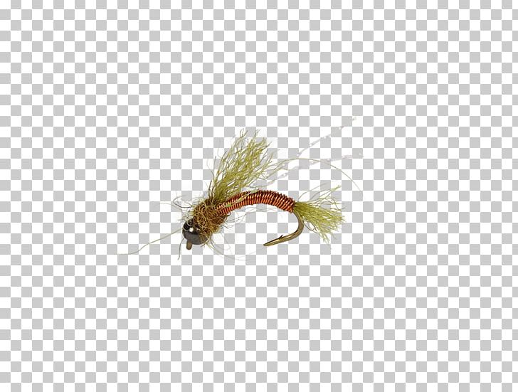 Artificial Fly Fly Fishing Nymph Fishing Bait PNG, Clipart, Artificial Fly, Bead, Clothing, Clothing Accessories, Fish Hook Free PNG Download