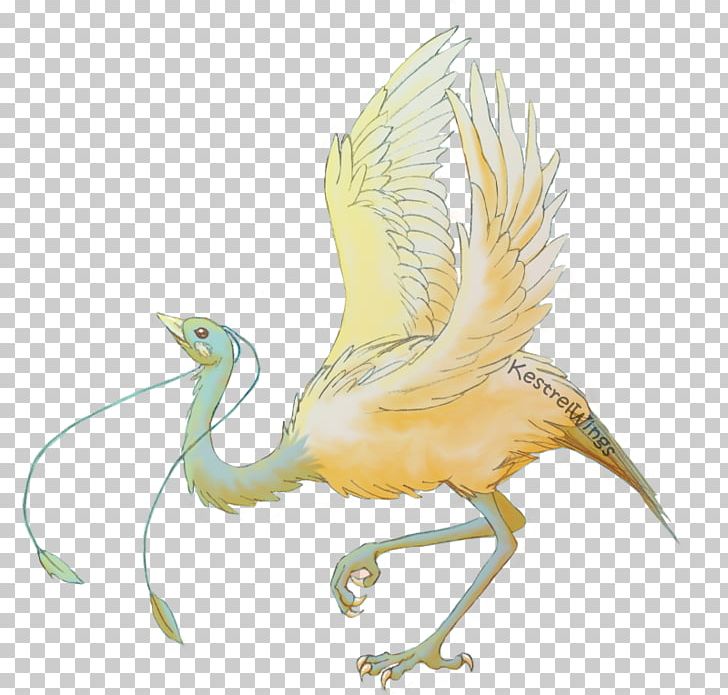 Beak Fan Art Bird Drawing PNG, Clipart, Art, Beak, Bird, Color, Crane Like Bird Free PNG Download
