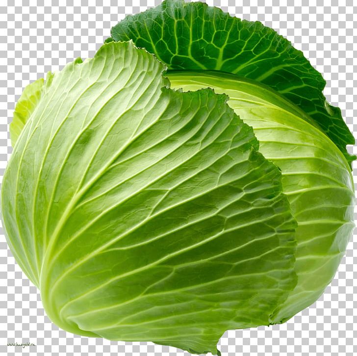 Cabbage Organic Food Vegetable Coleslaw Fruit PNG, Clipart, Broccoli, Carrot, Cauliflower, Chinese Cabbage, Collard Greens Free PNG Download