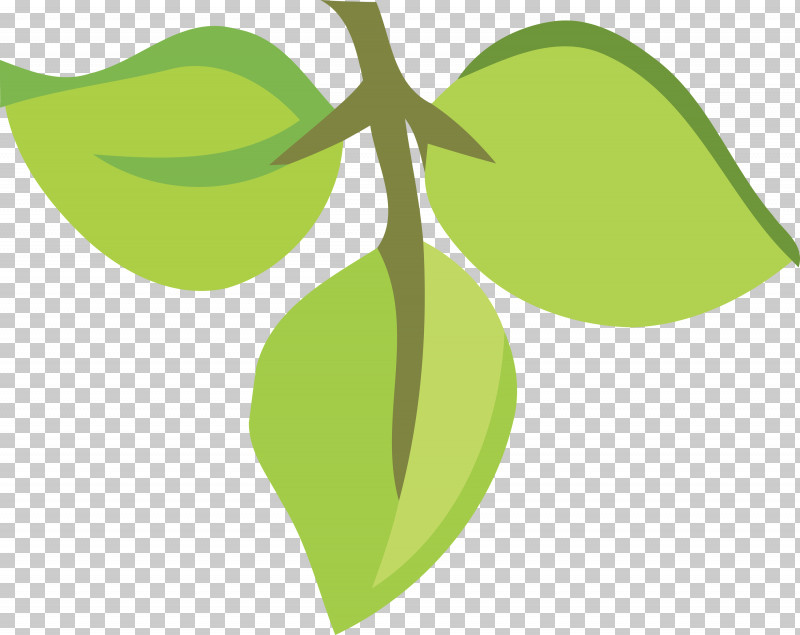 Leaf Plant Stem Green Flora Text PNG, Clipart, Biology, Flora, Fruit, Green, Leaf Free PNG Download