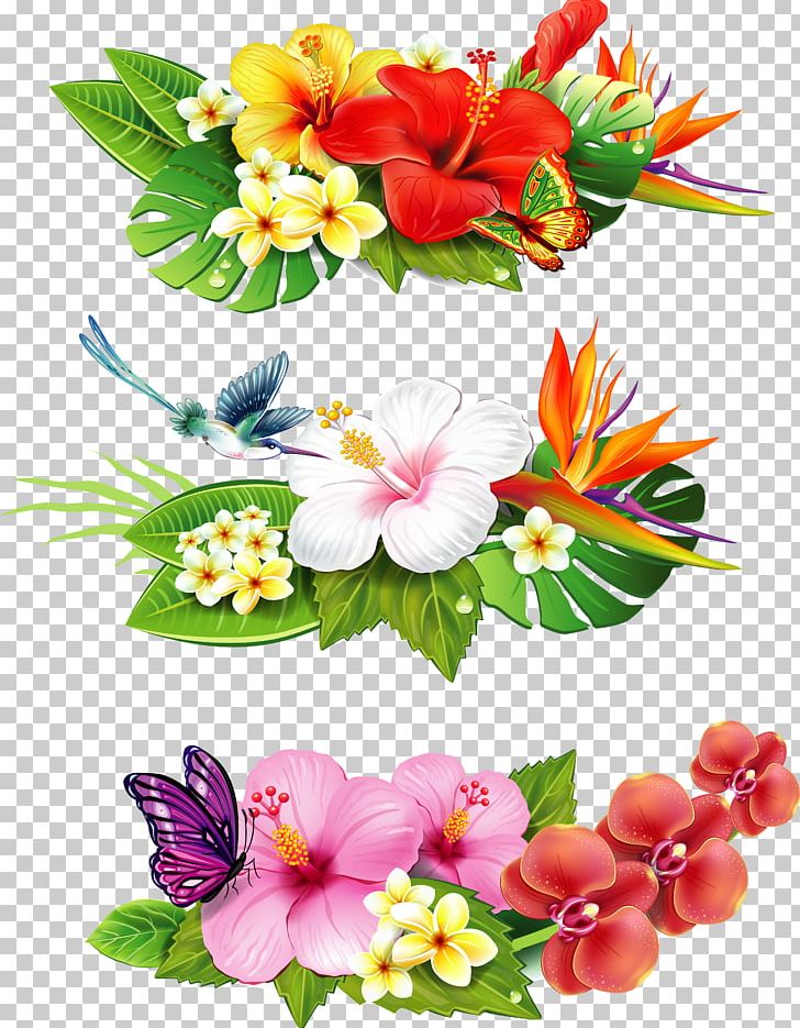 Flower Drawing PNG, Clipart, Annual Plant, Art, Clip Art, Cut Flowers, Decoupage Free PNG Download