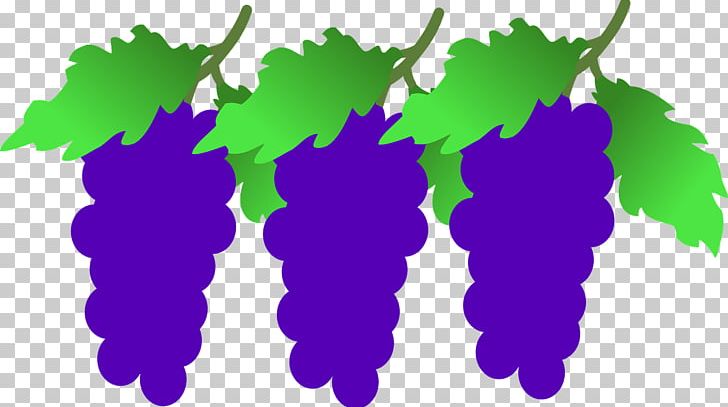 Grapevines Wine PNG, Clipart, Cluster, Food, Fruit, Fruit Nut, Grape Free PNG Download