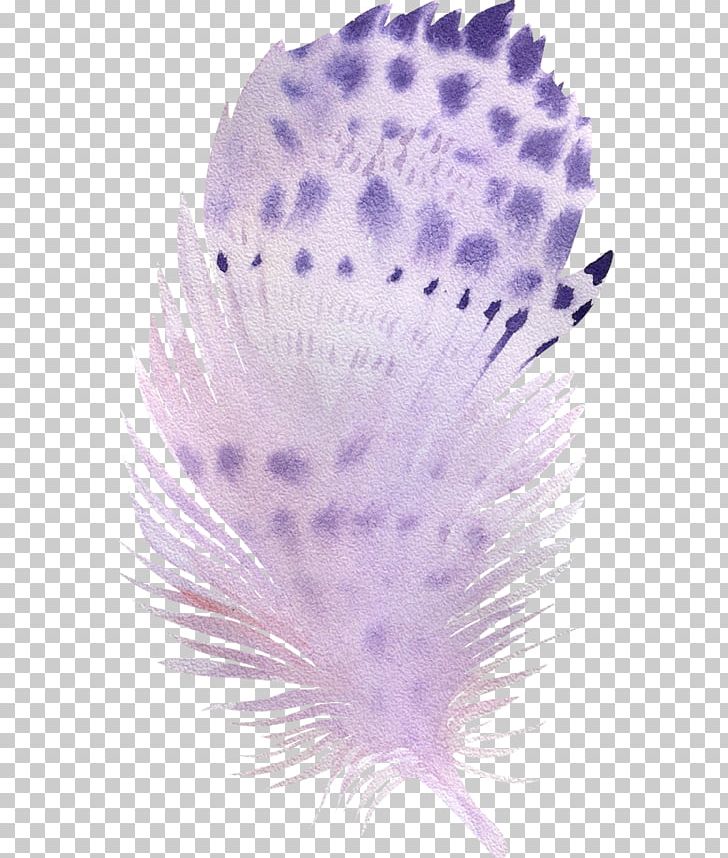 Bird Feather Watercolor Painting Flowers In Watercolor PNG, Clipart, Animals, Art, Bird, Canvas Print, Closeup Free PNG Download