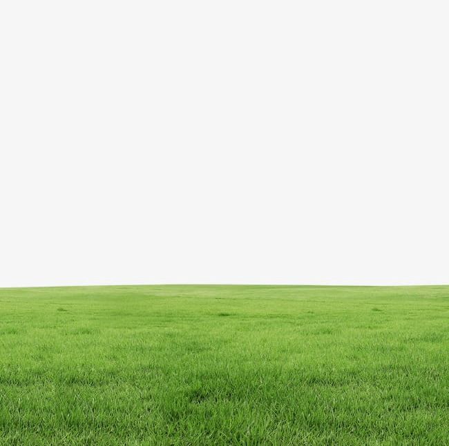 Grass PNG, Clipart, Grass, Grass Clipart, Meadow Free PNG Download