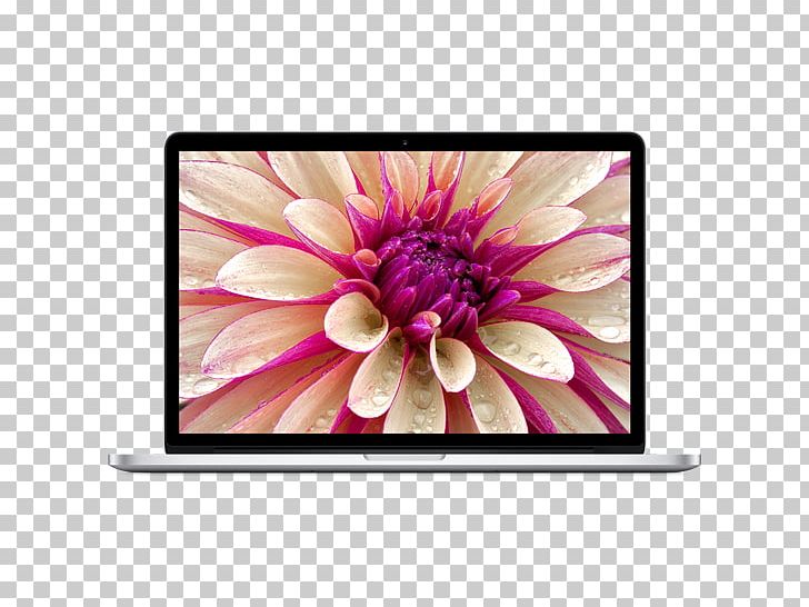Mac Book Pro MacBook Air Laptop MacBook Pro 13-inch PNG, Clipart, Apple Macbook, Apple Macbook Pro, Chrysanths, Dahlia, Daisy Family Free PNG Download