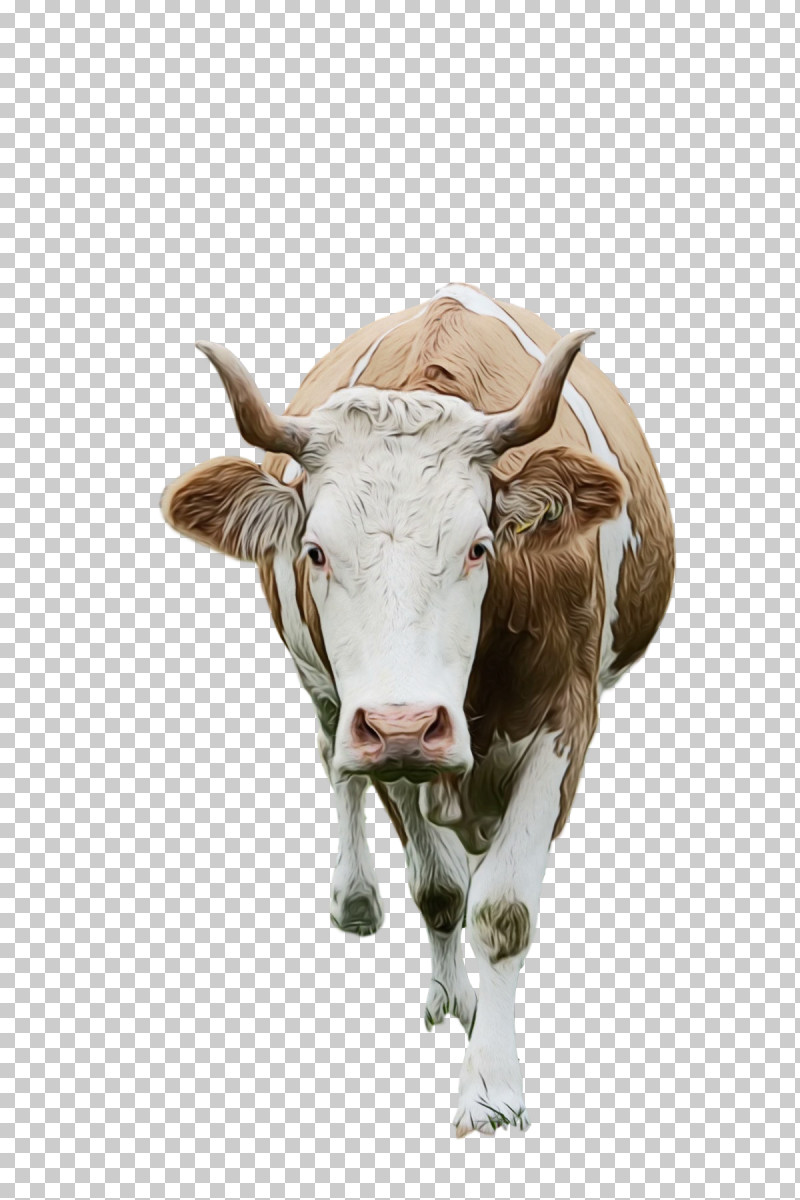 Texas Longhorn Dairy Cattle Ox Goat Horn PNG, Clipart, Dairy, Dairy Cattle, English Longhorn, Goat, Horn Free PNG Download