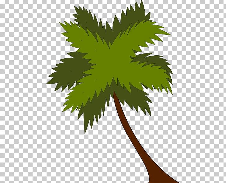 Coconut Arecaceae PNG, Clipart, Arecaceae, Arecales, Branch, Cartoon, Coconut Free PNG Download