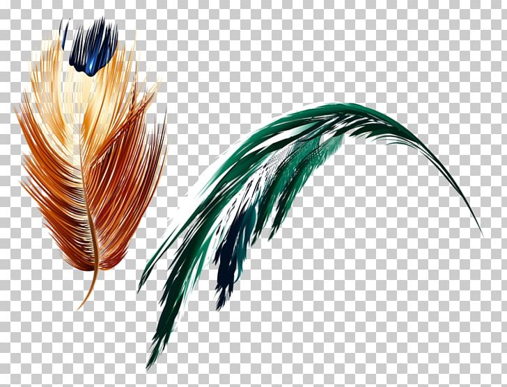 Feather Art Light PNG, Clipart, Abstract Art, Animals, Art, Art Deco, Chart Free PNG Download