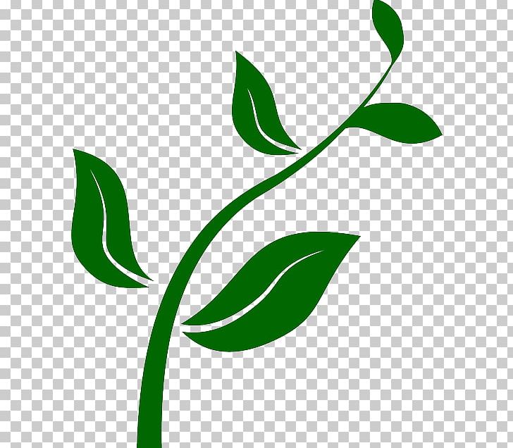 From Seed To Plant PNG, Clipart, Artwork, Branch, Carnivorous Plant, Computer Icons, Download Free PNG Download