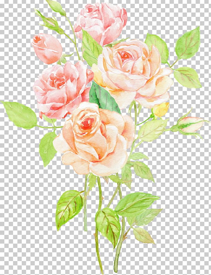 Garden Roses Beach Rose Centifolia Roses Flower PNG, Clipart, Branch, Creative Background, Fathers Day, Floribunda, Flower Arranging Free PNG Download