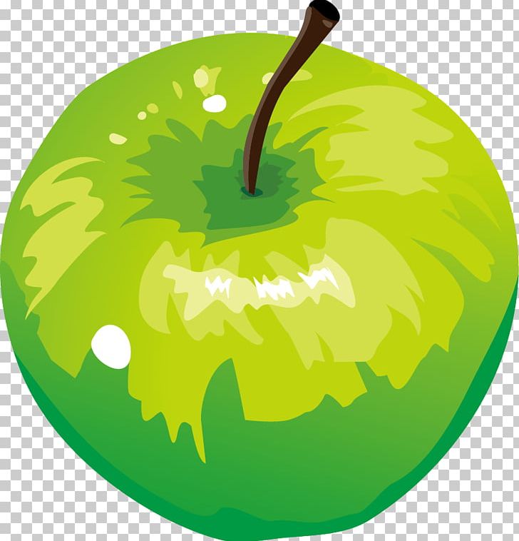 Granny Smith Apple PNG, Clipart, Apple, Auglis, Background Green, Circle, Cucurbita Free PNG Download