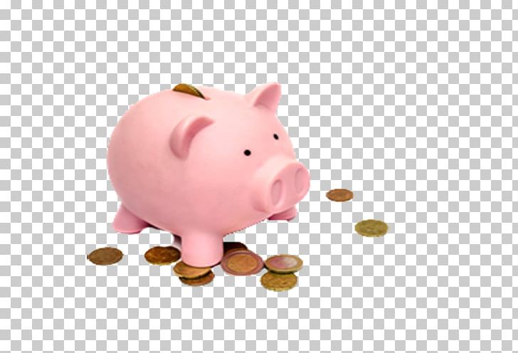 Piggy Bank Coin Investment Saving PNG, Clipart, Animals, Bank, Conduct, Conduct Financial Transactions, Cost Free PNG Download