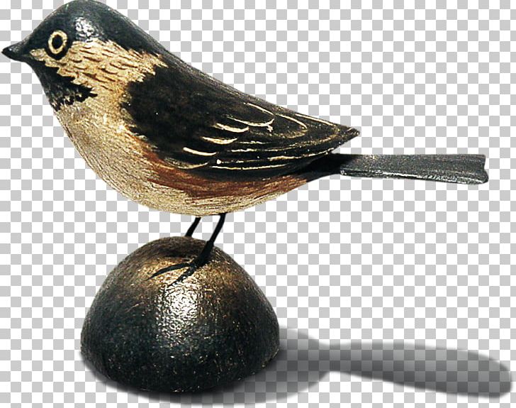 Bird PNG, Clipart, Animals, Background Black, Beak, Bird, Bird Cage Free PNG Download