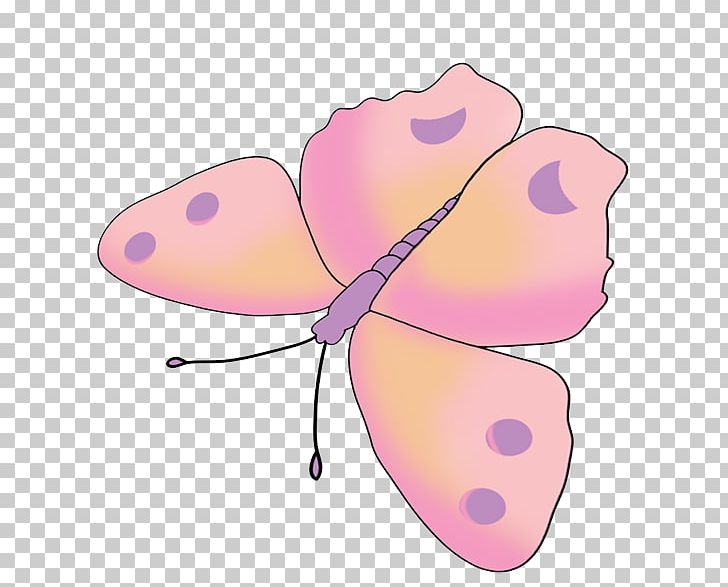 Butterfly Insect Pink Drawing PNG, Clipart, Arthropod, Black Swallowtail, Butterflies And Moths, Butterfly, Color Free PNG Download