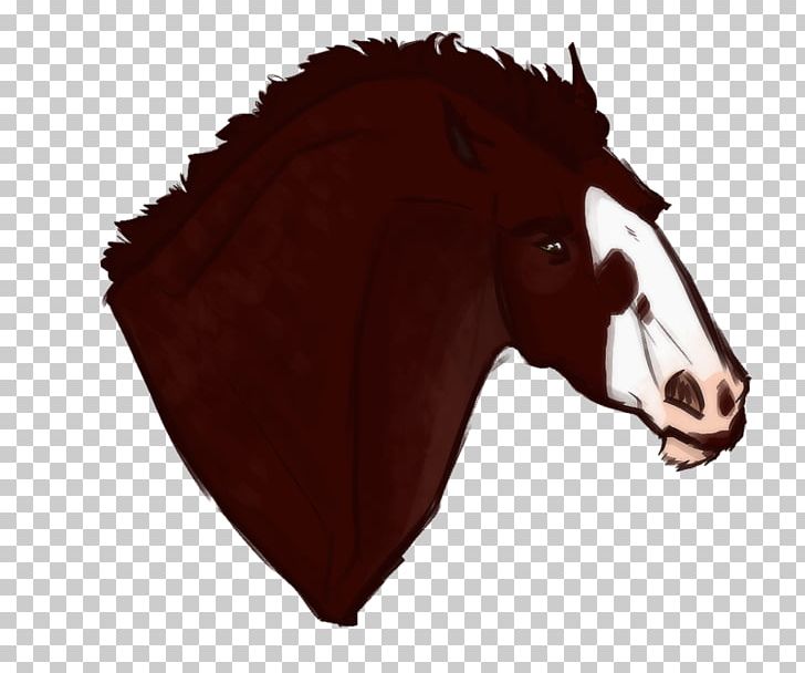 Mane Mustang Pony Stallion Rein PNG, Clipart, Character, Fiction, Fictional Character, Florida Kraze Krush Soccer Club, Head Free PNG Download