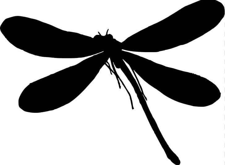 Silhouette Dragonfly PNG, Clipart, Arthropod, Black, Black And White, Computer Icons, Dragonflies And Damseflies Free PNG Download