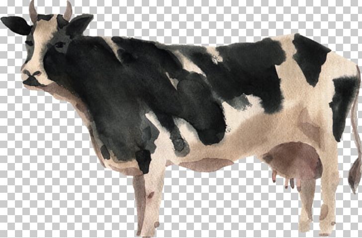 Dairy Cattle Watercolor Painting Farm PNG, Clipart, Calf, Cattle, Cattle Like Mammal, Cow, Cow Goat Family Free PNG Download