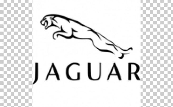 Jaguar Cars Auto Show Land Rover Luxury Vehicle PNG, Clipart, Angle, Area, Auto Mechanic, Automobile Repair Shop, Auto Show Free PNG Download