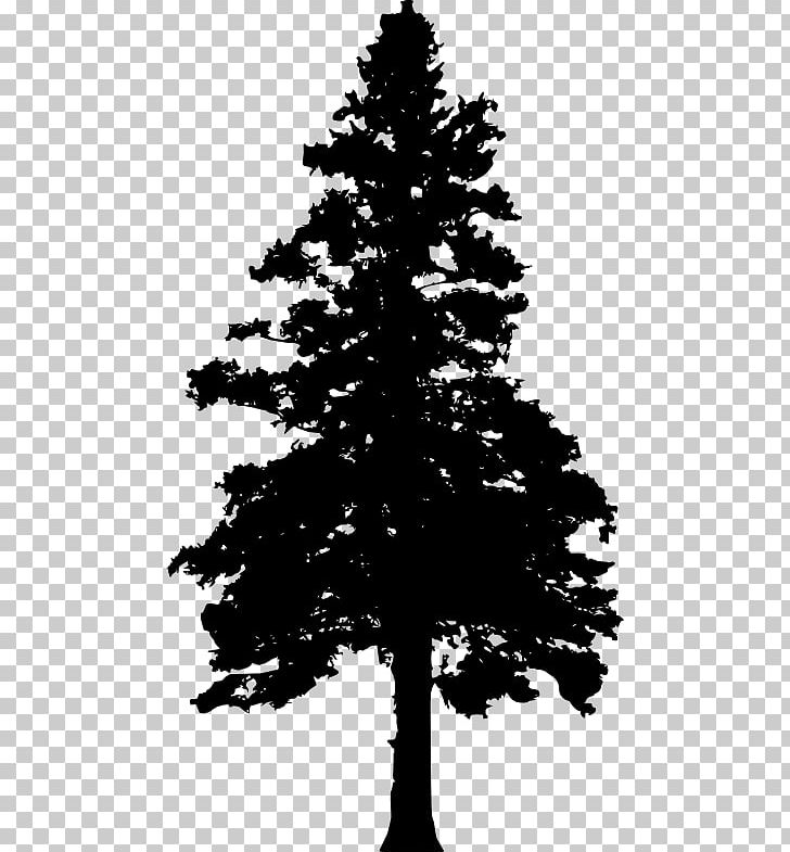 pine tree clipart black and white