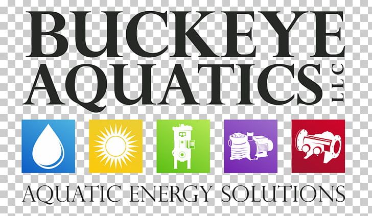 Newcastle Service Business Buckeye Aquatics PNG, Clipart, Accountant, Accounting, Aquatic, Area, Audit Free PNG Download