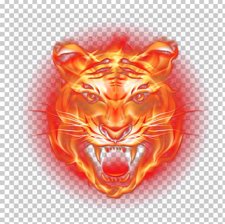 Tiger Light Flame Fire PNG, Clipart, Android, Big Cats, Carnivoran, Cat, Cat Like Mammal Free PNG Download
