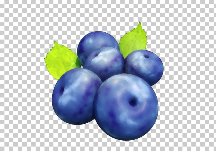 Blueberry Bilberry Grape Huckleberry Food PNG, Clipart, Berry, Bilberry, Blue, Blueberry, Computer Free PNG Download
