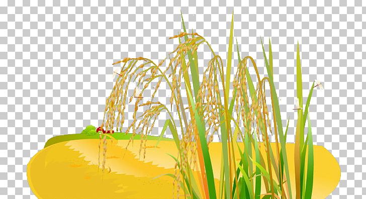Common Wheat Cartoon Grasses PNG, Clipart, Balloon Cartoon, Boy Cartoon, Bread, Bumper, Cartoon Free PNG Download